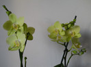 DSCN0675