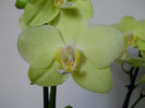 DSCN0677