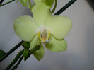 DSCN0678