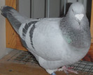 DSCF5001