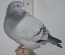 DSCF5015