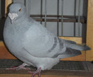 DSCF5026