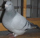 DSCF5042