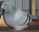DSCF5060