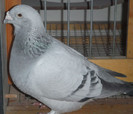 DSCF5063