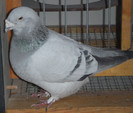 DSCF5081