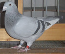 DSCF5146