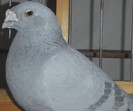 DSCF5165