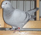 DSCF5269