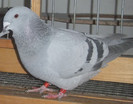 DSCF5273