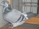 DSCF5301