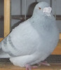 DSCF5319