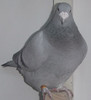 DSCF5348