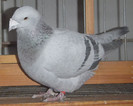 DSCF5352