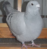 DSCF5359