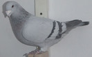 DSCF5360