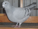 DSCF5363
