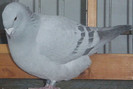 DSCF5383