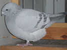 DSCF5407