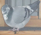 DSCF5430