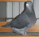DSCF5045