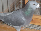 DSCF5282