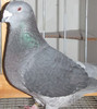 DSCF5286