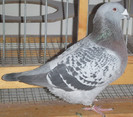 DSCF5289