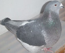 DSCF5295