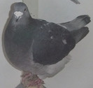 DSCF5323