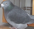 DSCF5325