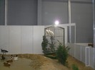SDC11538