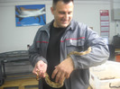 DSCN3367