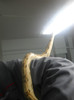 DSCN3374