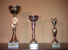 Trofee castigate Judet