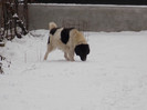 DSCN0218