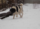 DSCN0219