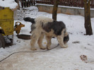 DSCN0252