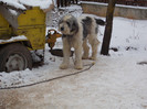 DSCN0253