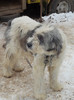DSCN0256