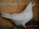 f 2009 - 27.01.2013