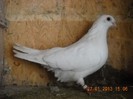 f 2009 - 27.01.2013