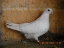 DSCN9737