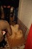 expo_acpara_duminica_2013_ (8)