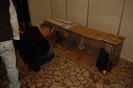 expo_acpara_duminica_2013_ (12)