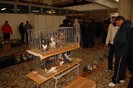 expo_acpara_duminica_2013_ (23)