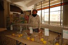expo_acpara_duminica_2013_ (33)