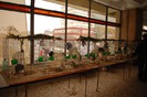 expo_acpara_duminica_2013_ (36)