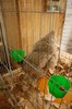 expo_acpara_duminica_2013_ (39)