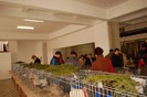 expo_acpara_duminica_2013_ (44)